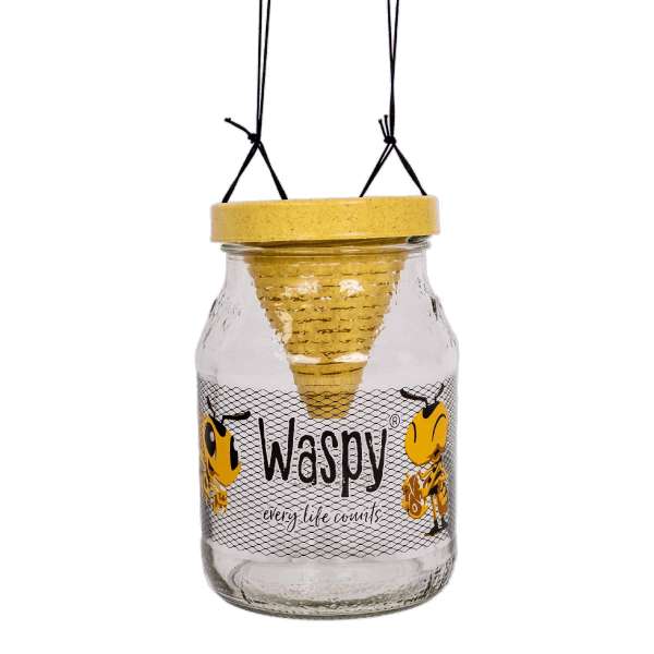 Waspy natürliche Wespenfalle: effektiv und tierfreundlich