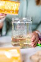 Vorschau: Kefirko Knollen für Wasserkefir als Starter-Kulturen Vorschau: Kefirko Knollen für Wasserkefir als Starter-Kulturen