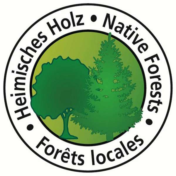 Umweltfreundliche Zahnbürste aus Holz: Für gesunde Zähne