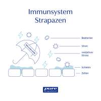 Vorschau: Gepuffertes Vitamin C 1000 mg von Pure Encapsulations Vorschau: Gepuffertes Vitamin C 1000 mg von Pure Encapsulations