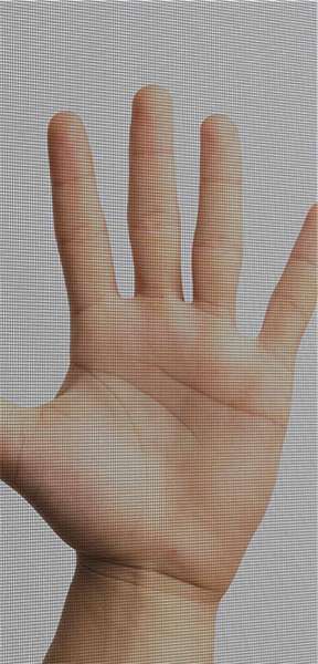 Pollenschutz Fenster: Gute Durchsicht - Reduziert Pollenbelastung