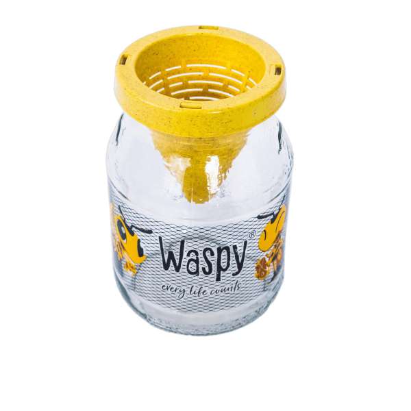 Waspy natürliche Wespenfalle: effektiv und tierfreundlich