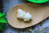 Vorschau: Dehydrierte Kefirknöllchen als Starter-Kultur für Milchkefir Vorschau: Dehydrierte Kefirknöllchen als Starter-Kultur für Milchkefir