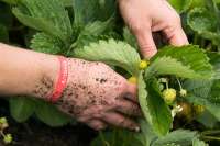 Vorschau: PureNature Asthma Armband für Kinder & Erwachsene Vorschau: PureNature Asthma Armband für Kinder & Erwachsene