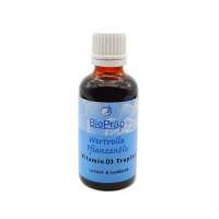 BioPräpVitamin D3 flüssig - in Hanf- und Sanddornöl gelöst - kaufen BioPräpVitamin D3 flüssig - in Hanf- und Sanddornöl gelöst - kaufen