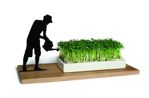 Kresseschale smart n green Kresse ziehen auf der Fensterbank Kresseschale smart n green Kresse ziehen auf der Fensterbank