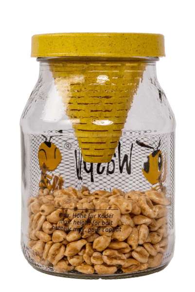 Waspy natürliche Wespenfalle: effektiv und tierfreundlich