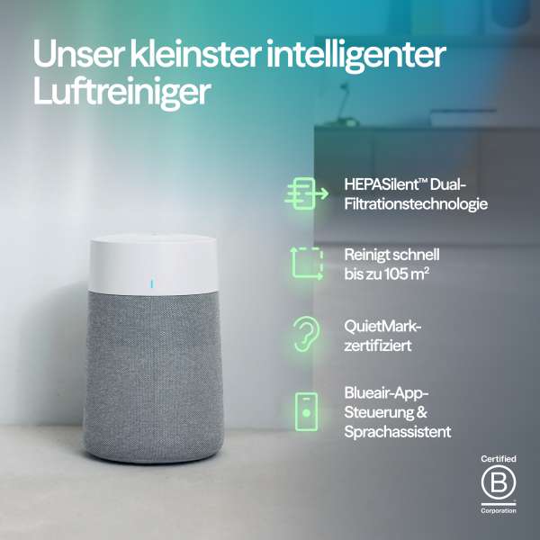 Blueair Luftreiniger Mini Max