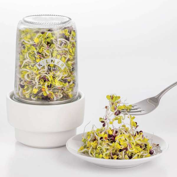 Kilner Sprossen-Set: Sprossenglas für Zucht und Lagerung