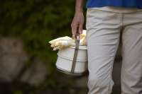 Vorschau: Riess Dichtungsdose – praktischer Henkelmann für unterwegs Vorschau: Riess Dichtungsdose – praktischer Henkelmann für unterwegs