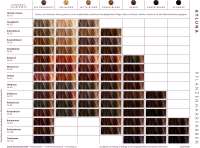 Vorschau: Ayluna schwarzbraun Haarfarbe ohne PPD und PTD Vorschau: Ayluna schwarzbraun Haarfarbe ohne PPD und PTD