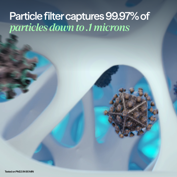 Blueair F5MAX Ersatzfilter mit Partikelfilter und Aktivkohle