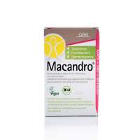 Maca Pulver Bio von der Firma GSE - Kaufen!