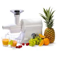 Champion Entsafter: Profi Saftpresse für Obst & Gemüsesaft Champion Entsafter: Profi Saftpresse für Obst & Gemüsesaft